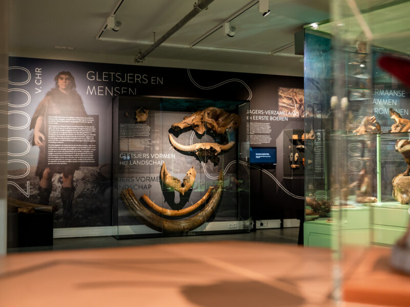 Het Liemers Museum