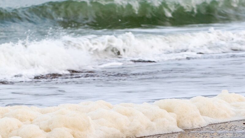 <h2>Tentoonstellingen</h2>
